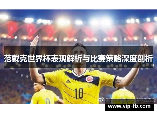 范戴克世界杯表现解析与比赛策略深度剖析