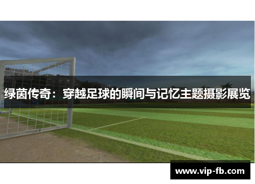 绿茵传奇：穿越足球的瞬间与记忆主题摄影展览