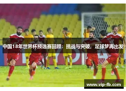 中国18年世界杯预选赛回顾：挑战与突破，足球梦再出发