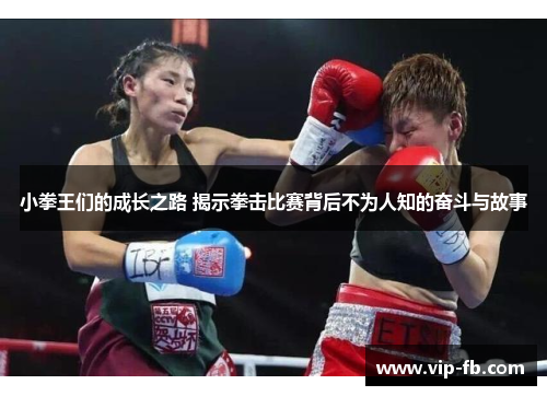 小拳王们的成长之路 揭示拳击比赛背后不为人知的奋斗与故事