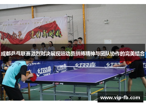 成都乒乓联赛激烈对决展现运动员拼搏精神与团队协作的完美结合
