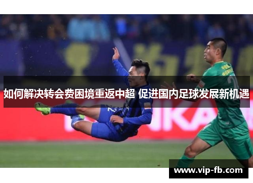 如何解决转会费困境重返中超 促进国内足球发展新机遇