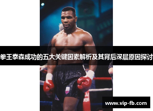 拳王泰森成功的五大关键因素解析及其背后深层原因探讨